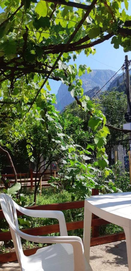 Apartments Skaljari Kotor Eksteriør billede