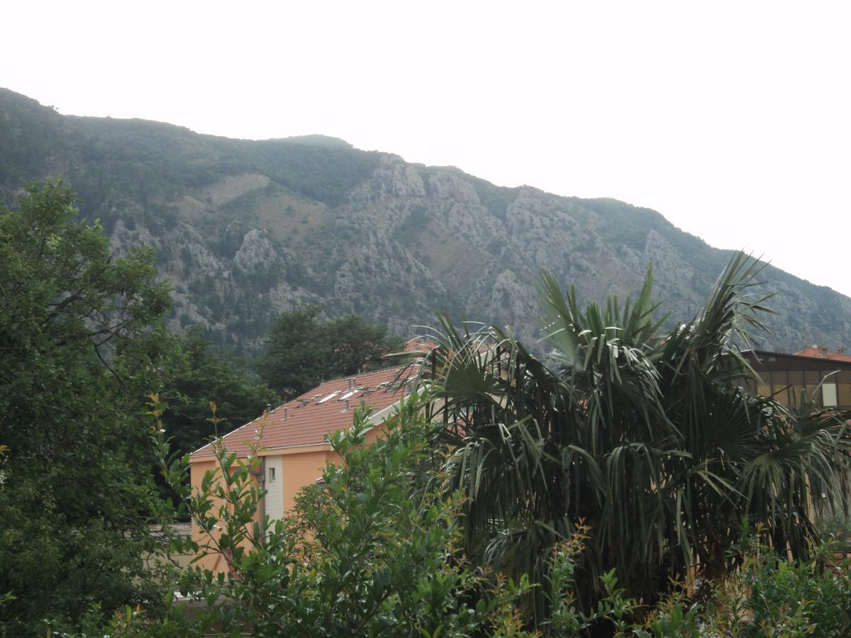 Apartments Skaljari Kotor Eksteriør billede