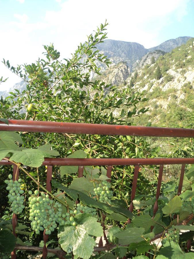 Apartments Skaljari Kotor Eksteriør billede