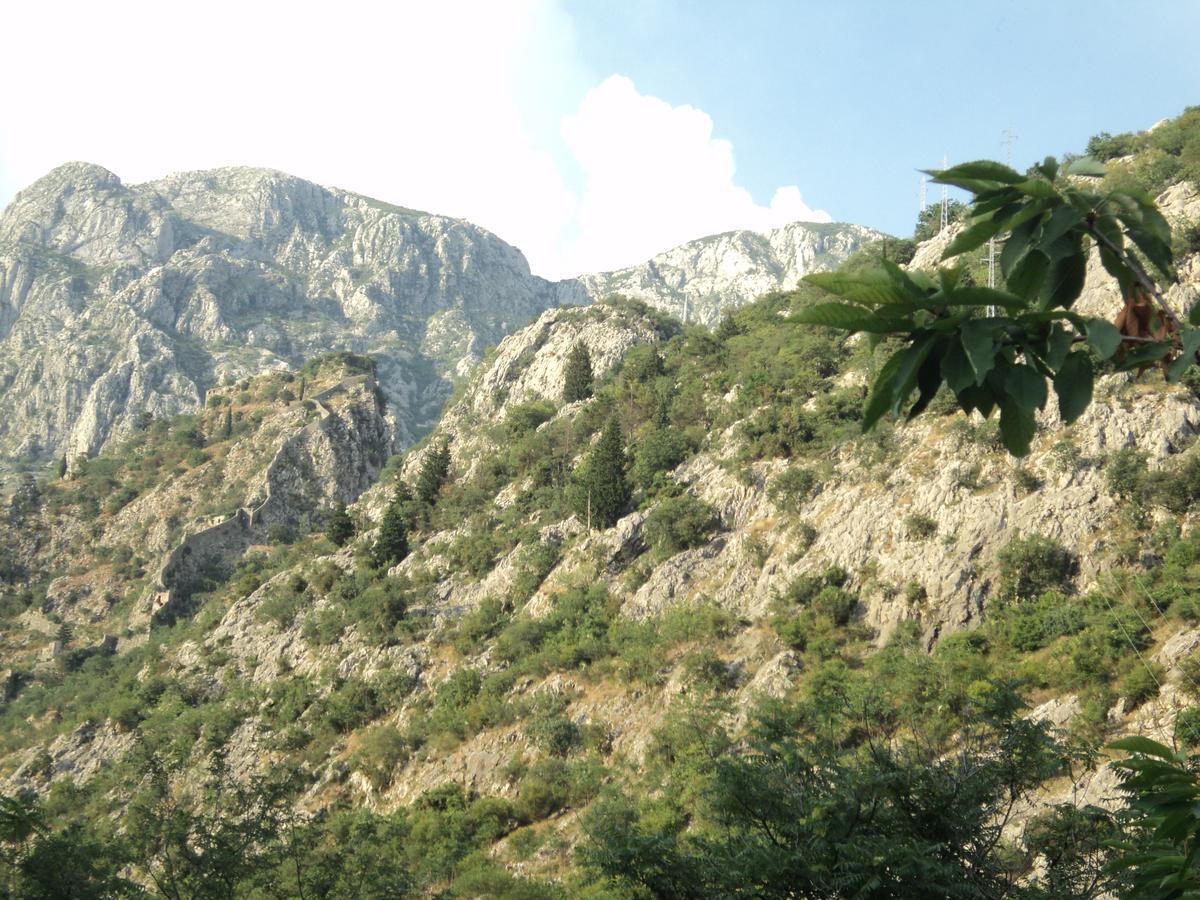Apartments Skaljari Kotor Eksteriør billede